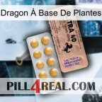 Dragon À Base De Plantes 41